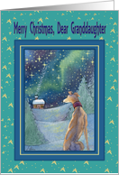 Merry Christmas dear Granddaughter, Christmas greyhound winter scene card