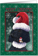 Merry Christmas, poodle and red robin, friends with Santa hats card