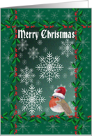 Merry Christmas, robin red breast in a Santa hat card