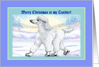 Merry Christmas teacher, white poodle on ice skates card