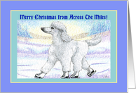 Merry Christmas across the miles, white poodle on ice skates card