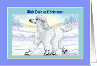 With love at Christmas, blank card, white poodle on ice skates card