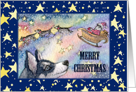 Merry Christmas, husky reindeer with santa’s sleigh card