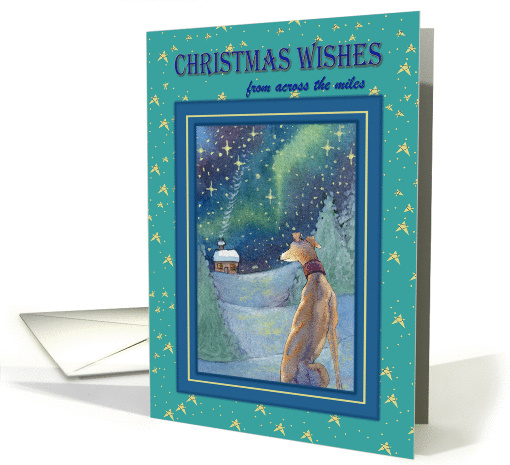 Christmas Wishes across the miles, Christmas Greyhound... (1454430)