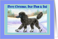 Merry Christmas Mum & Dad, black Poodle on ice skates card