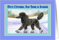 Merry Christmas Nanny & Grandad, black Poodle on ice skates card