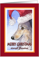 Merry Christmas Grandma, Sheltie in Santa hat card