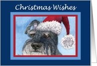 Christmas Wishes, Schnauzer in Santa hat card