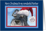 Merry Christmas Partner, Schnauzer in Santa hat card