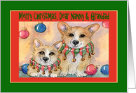 Merry Christmas Nanny & Grandad, Corgis wearing jingle bell collars card