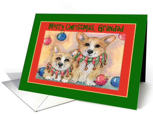 Merry Christmas Grandad, Corgis wearing jingle bell collars card