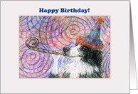 Happy Birthday, Border Collie dog in a party hat card