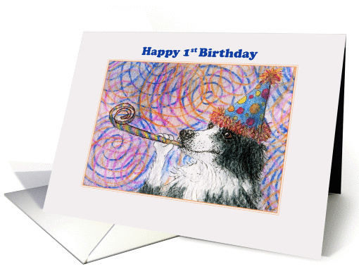 Happy 1st Birthday - Border Collie dog in a party hat card (1464094)