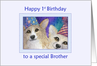Happy 1st Birthday to a special Brother, Corgi dog birthday card