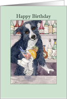 Happy Birthday, Border Collie dog holding a drink card