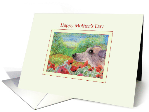 Happy Mother's Day, thoughtful greyhound & poppies card (1464880)