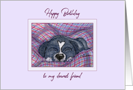Happy Birthday to my dearest friend, dog asleep on a blanket card