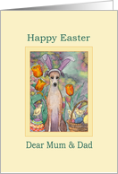 Happy Easter Mum & Dad, Greyhound in bunny ears card