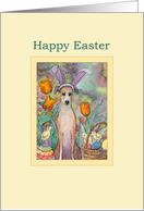 Happy Easter, Greyhound in bunny ears card