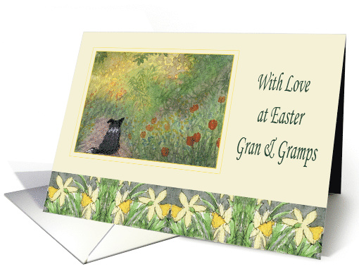 With love at Easter, Gran & Gramps- Border Collie dog in a meadow card