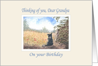 Thinking of you grandpa, birthday - border collie dog in a meadow card