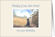 Thinking of you friend, birthday - border collie dog in a meadow card