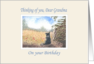 Thinking of you grandma, birthday - border collie dog in a meadow card