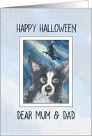 Happy Halloween, border collie dog with witch overhead card