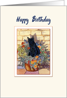 Happy Birthday, black cat sitting in a flower pot card