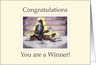 Congratulations, you are a winner - border collie wrestlers card