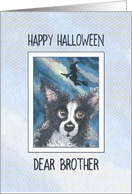 Happy Halloween Brother, border collie dog and witch card