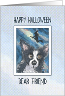 Happy Halloween Friend, border collie dog and witch card