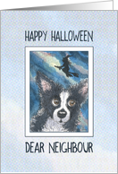Happy Halloween neighbour, border collie dog and witch card