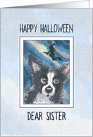 Happy Halloween Sister, border collie dog and witch card