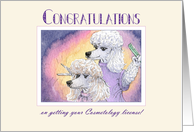 Congratulations, cosmetology license, poodle dog hairdresser card