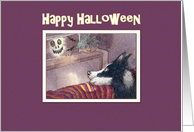 Happy Halloween, Border Collie dog hiding behind the sofa card