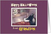 Happy Halloween Grandson, Border Collie dog hiding behind the sofa card