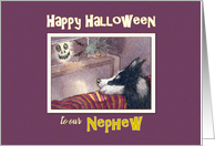 Happy Halloween Nephew, Border Collie dog hiding behind the sofa card