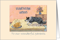 Thanksgiving Wishes to our Parents, Border Collie stalking the turkey card