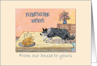 Thanksgiving Wishes, our house to yours, sheepdog stalking the turkey card