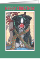 Merry Christmas, border collie puppy in antlers card