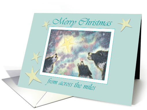 Merry Christmas from across the miles, border collies &... (1479850)