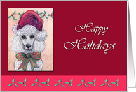 Happy Holidays, white poodle dog in a Santa hat card