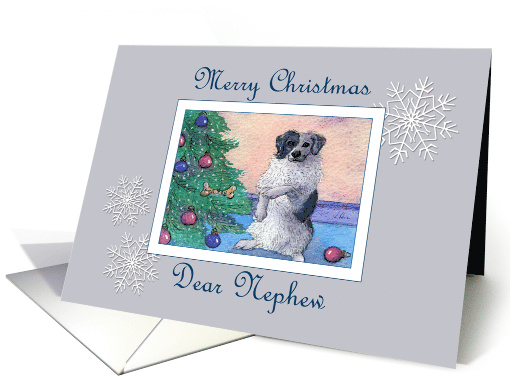 Merry Christmas Nephew, border collie dog decorating... (1481816)