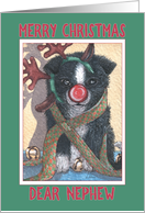 Merry Christmas Nephew, border collie puppy in reindeer antlers card