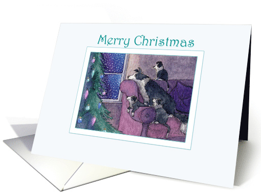 Merry Christmas, border collie family waiting for Santa card (1483026)