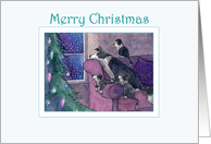 Merry Christmas, border collie family waiting for Santa card