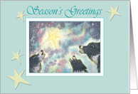 Season’s Greetings, border collie dogs under the Christmas star card