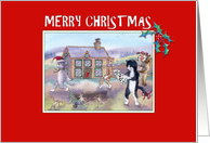 Merry Christmas cat card, cats moving house at Christmas card