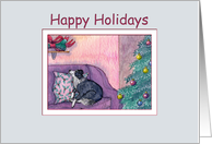 Happy Holidays, border collie dog waiting for his Christmas present card